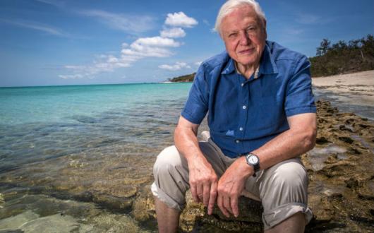 Great Barrier Reef with David Attenborough - Image 1.jpg