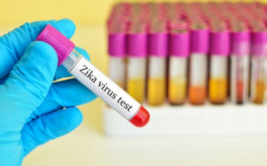 Zika image web.jpg