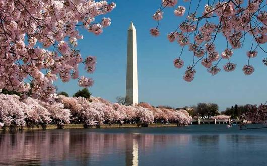 Biden made the comments during a press conference in Washington with German chancellor Angela Merkel