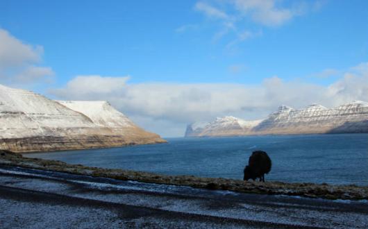 Faroe Islands ThinkstockPhotos-513549092