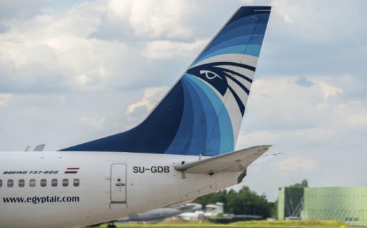 EgyptAir tailfin, Boeing 737