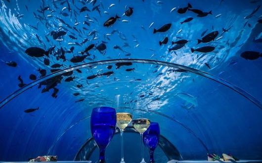 Hurawalhi5.8UnderwaterRestaurant3.jpg