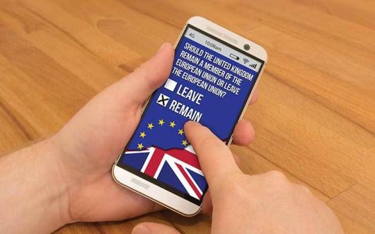 EU Referendum smart phone app iStock_91093349