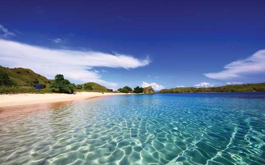 Flores pink beach komodo, Indonesia