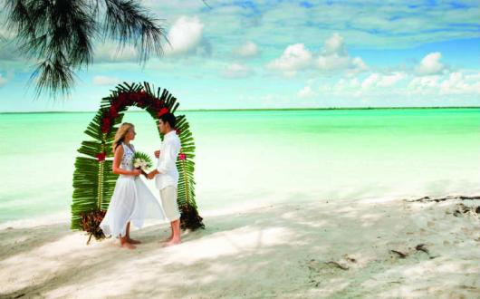 Wedding Tiamo resorts.jpg