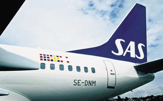 Aircraft SAS Boeing 737 tailfin