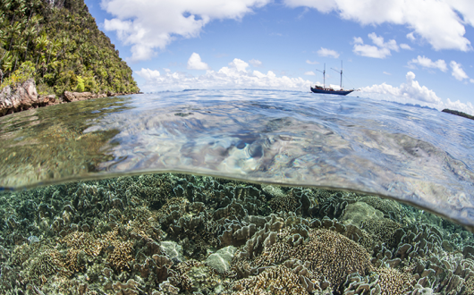 The industry's concern for the underwater environment is a concern, research found