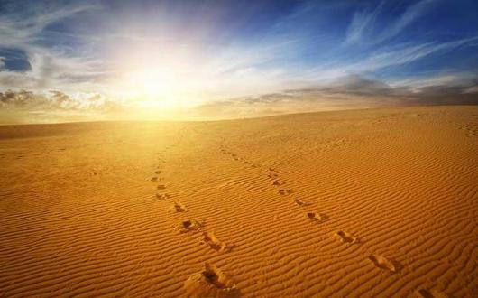 Footprints in a sand dune at sunset