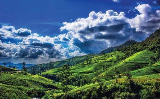 Kuoni has a new property in Sri Lanka's hill country