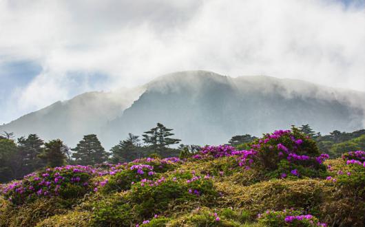 Jeju island in South Korea