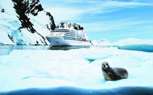 SEABOURN QUEST in Antartica with a seal.jpg