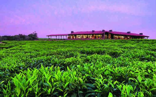 Nyungwe House OONH-lodges-hero-1440x900-min.jpg