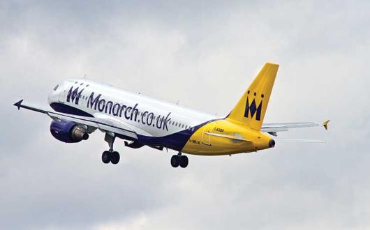 Monarch flies into the distance