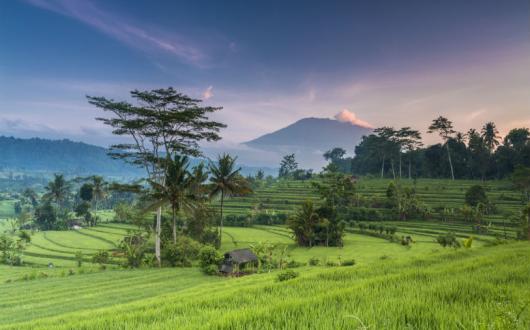Bali volcano.jpg