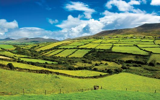 Ireland-fields.jpg