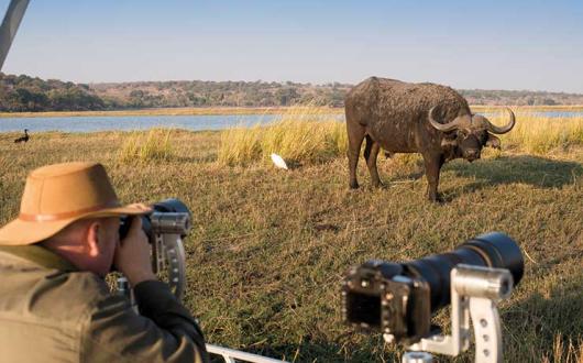 Botswana explorer activities safari