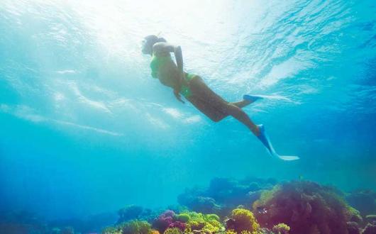Hurghada diving