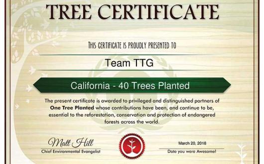 TTG Tree Planting Certificate
