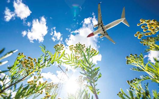 Jørgen Syversen pic of Norwegian jet overhead