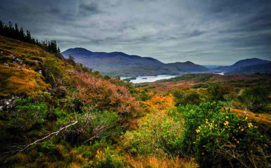 Ring of Kerry (866 of 970).jpg