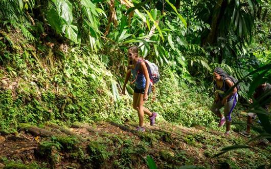 Waitukubuli National Trail, Dominica