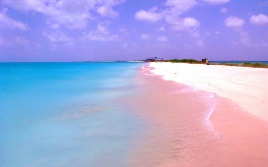 Barbuda Pink Sand .jpg