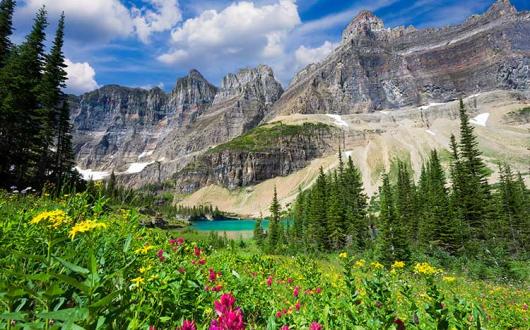 American national park