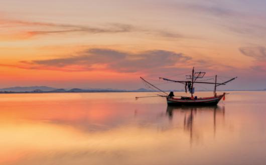 Gold Medal Sale Thai Fishing July.jpg