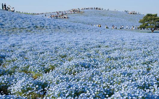 Seaside Park 2 mod.jpg