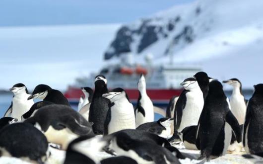Expedition cruise specialist reports record-breaking July