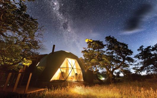 Agents and operators must adapt to new travel demands, the UNWTO has warned