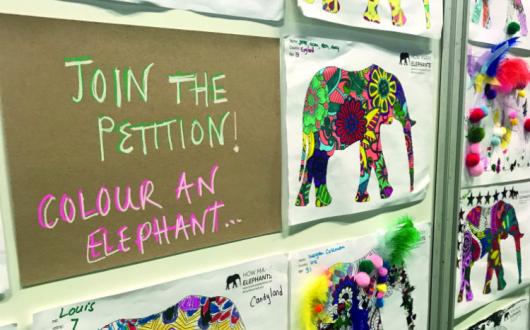 Holly Budge How Many Elephants.jpg