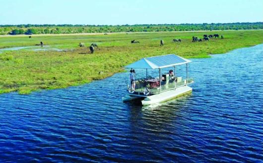 Electric boats at Chobe Game Lodge help guests get closer to the wildlife
