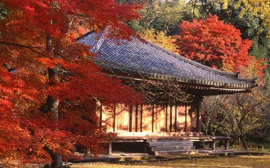 Oita Fuki-ji temple, Japan
