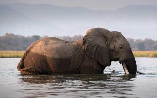 The Zambezi river, Zimbabwe, which has been included in the Kuoni list