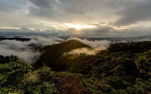 Mashpi Lodge & Choco Cloud Forest (7).jpg