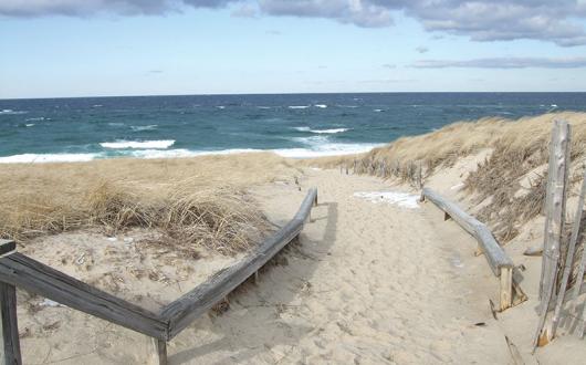Race Point Beach_cred William DeSousa-Mauk.jpg
