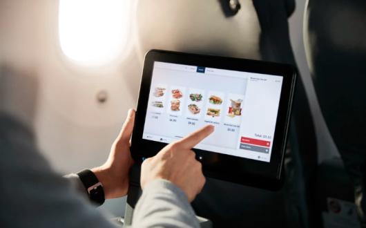 Norwegian Vegan Meals.jpg