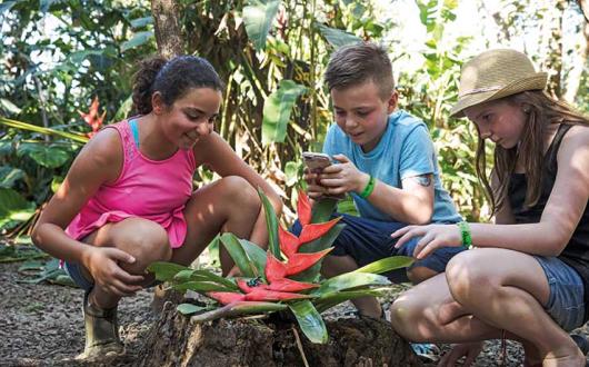 Costa Rica Rincon de la Vieja Kids iNaturalist App Frog
