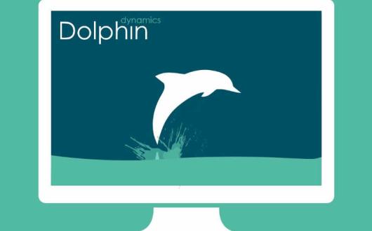 Dolphin Dynamics.jpg