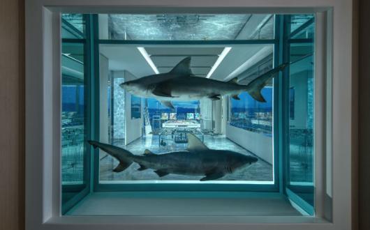 Empathy Suite Winner_Loser