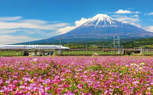 Railbookers Bullet Train passes Mount Fuji
