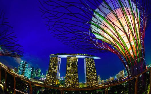 Gardens By The Bay with Marina Bay Sands hotel behind (supplied by STB).jpg