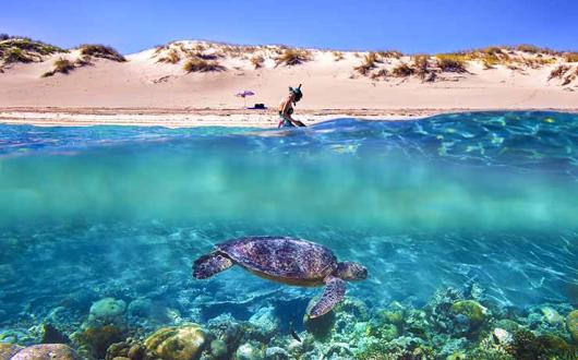 Ningaloo_Reef_-_HR_web.jpg