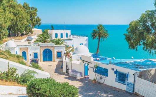 Tunisia iStock-498116298.jpg