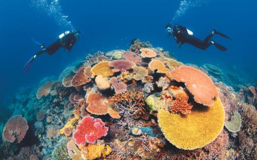 First Class Holidays Great Barrier Reef.jpg