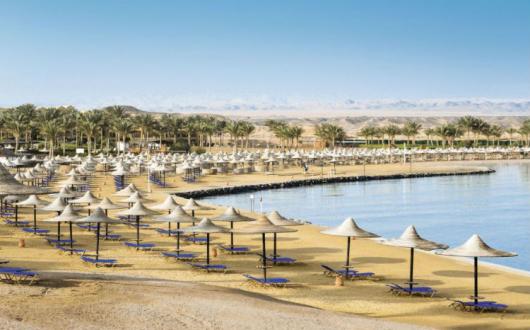 Tui Marsa Alam Alaya Web.jpg