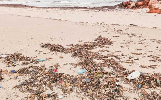 Refuse on a deserted beach