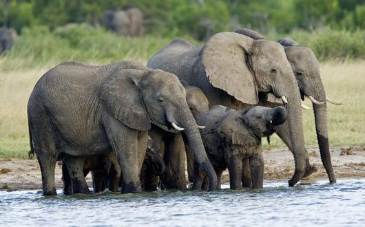Hwange_National_Park_Zimbabwe1.jpg