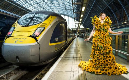 Eurostar Sunflowers